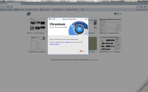 chromium-4.0.222.1